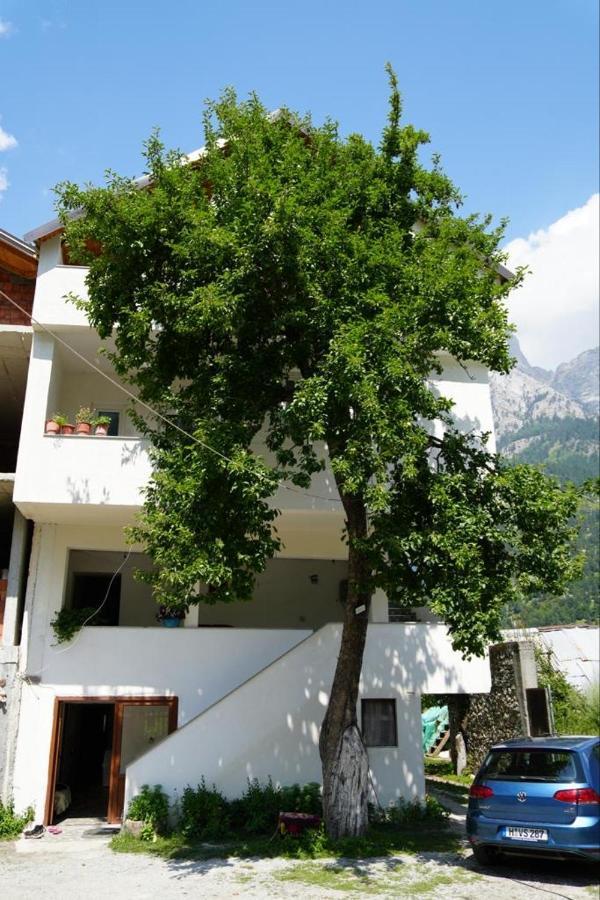Guesthouse Skender Selimaj Βαλμπόνα Εξωτερικό φωτογραφία